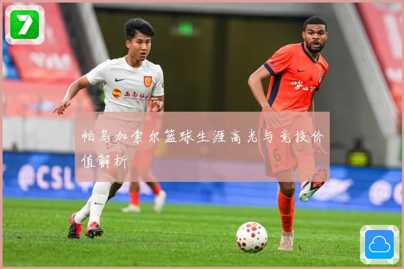 帕乌加索尔篮球生涯高光与竞技价值解析