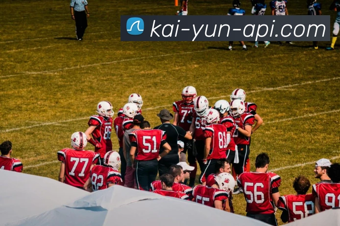 开云平台展示图