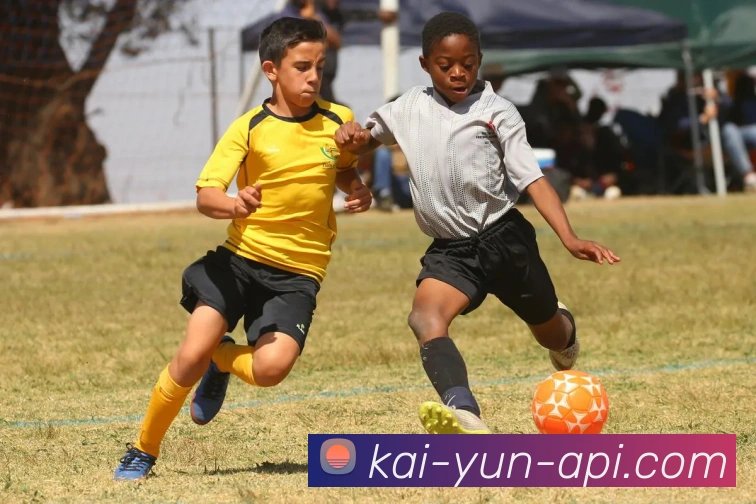 开云官网全站App